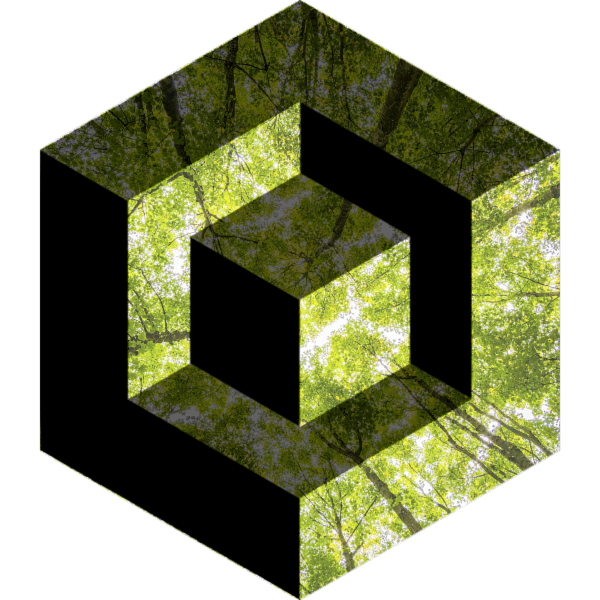 Voxel Informatica Sas - Foto 1