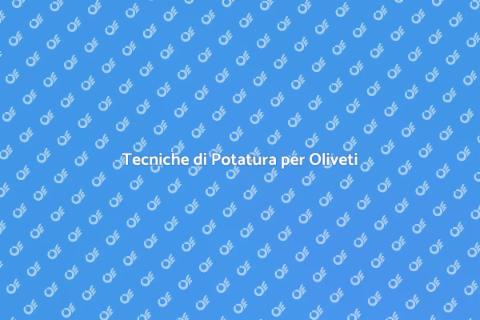 Potatura Professionale dell'Oliveto