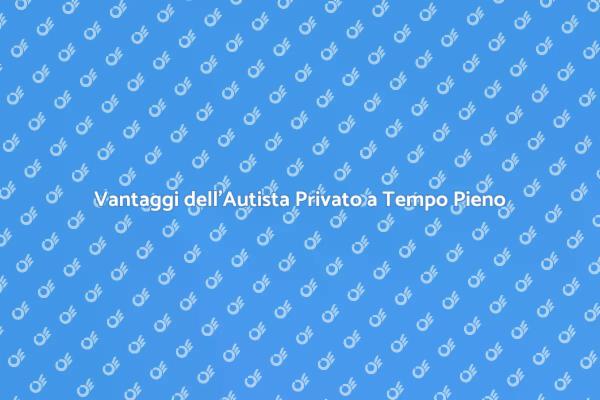 Ottimizza il Tuo Tempo con un Autista Privato