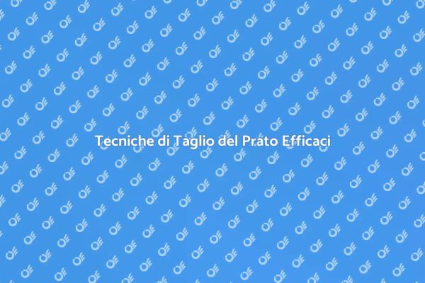 Guida Pratica per Tagliare il Prato