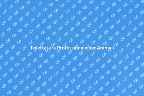 Tolettatura per Animali: Cura e Bellezza