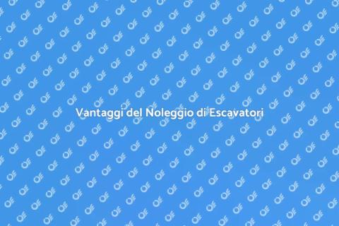 Noleggio Escavatore Compatto Efficiente