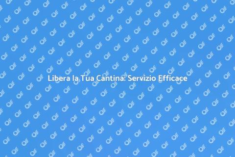 Svuotamento Cantine: Riscopri Spazio