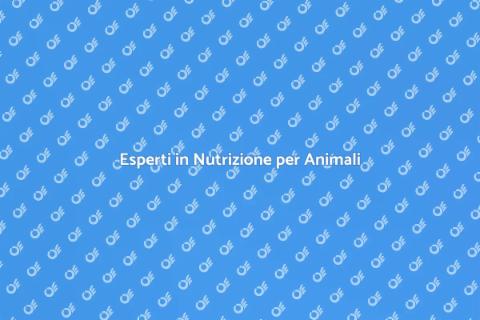 Nutrizione Animale: Consulenza Esperta