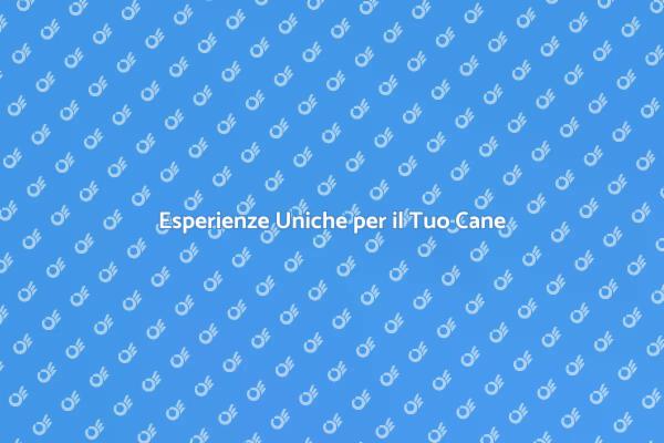 Il Tuo Cane Merita il Meglio!