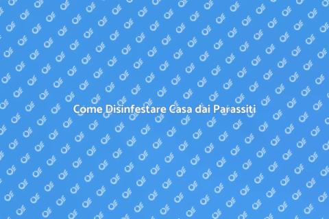 Disinfestazione: Liberati dai Parassiti