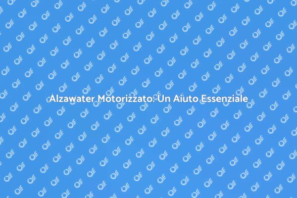 Alzawater per Disabili: Comfort e Indipendenza