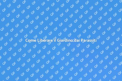 Disinfestare un Giardino Efficacemente