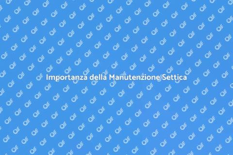 Manutenzione Sistema Settico Essenziale