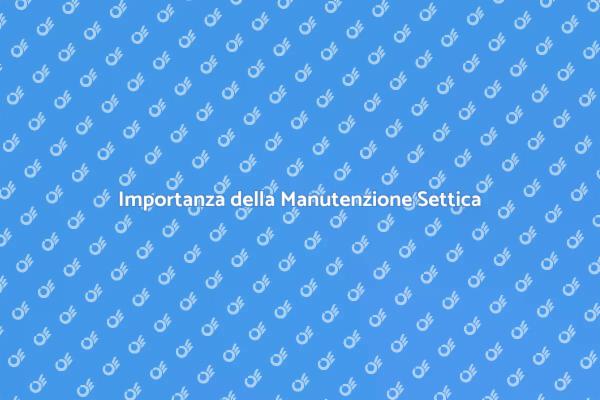 Manutenzione del Sistema Settico: Guida