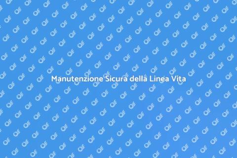 Manutenzione della Linea Vita Sicura