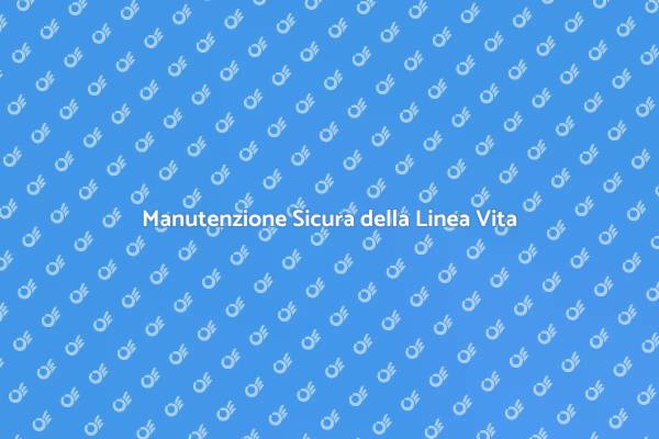 Sicurezza della Linea Vita: Fai la Manutenzione