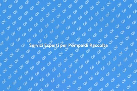 Assistenza Pompa di Raccolta Essenziale