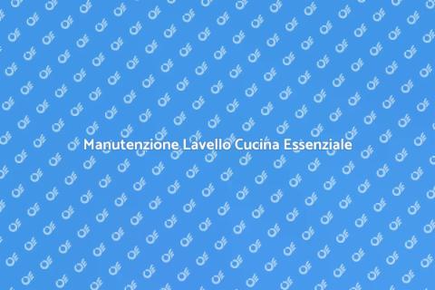 Assistenza Lavello Cucina Professionale