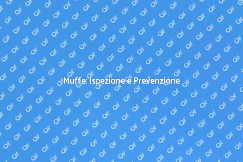 Ispezione e Trattamento Antimuffa