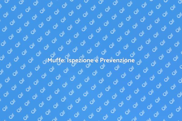 Prevenire Muffe: Importanza e Trattamento