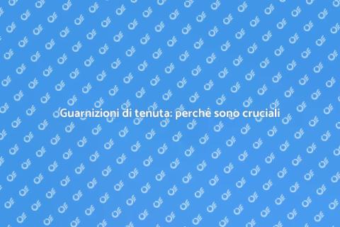 Guarnizioni di tenuta: installazione essenziale