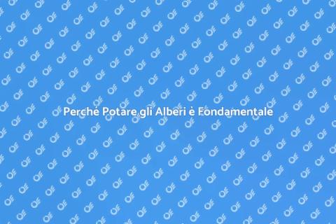 Potatura degli Alberi: Arte Necessaria