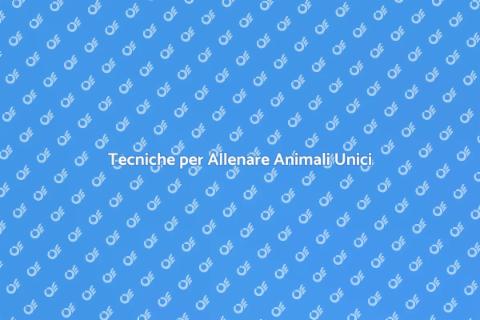 Allenamento Animali Domestici Unici
