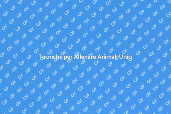 Allenamento per Animali Domestici Unici