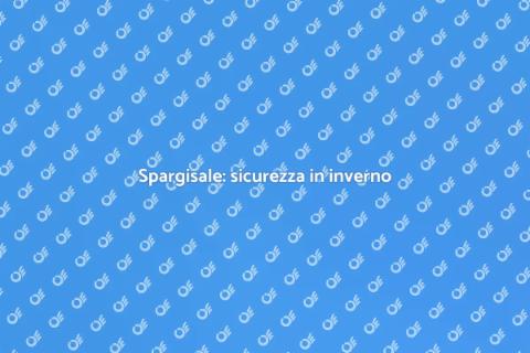 Ottimizzazione spargisale per sicurezza