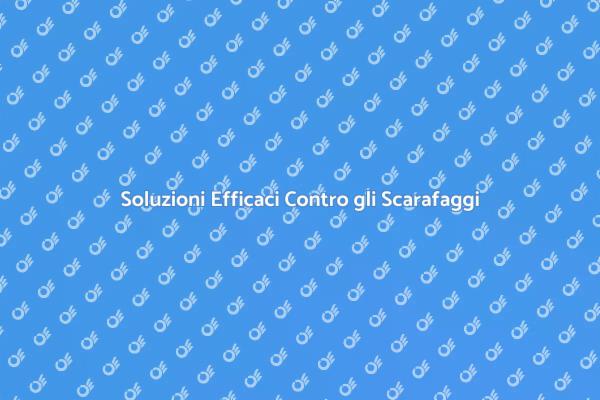 Liberati degli Scarafaggi Oggi Stesso