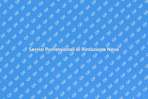 Rimozione Neve: Servizi Efficaci