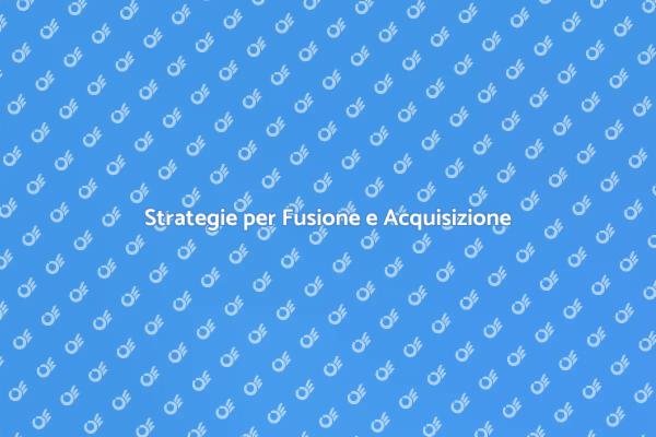 Consulenza per Fusione e Acquisizione