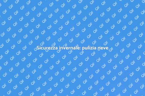 Pulizia neve su strade pubbliche