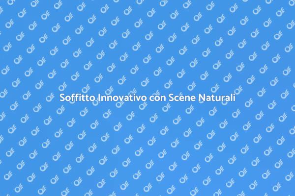 Rinnova il Tuo Ambiente con Stile