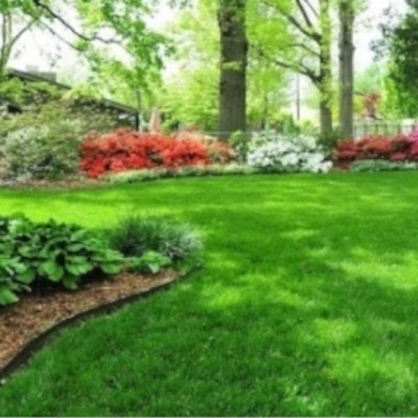 Il Giardino  - Foto 6