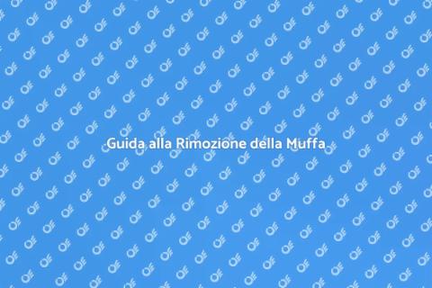 Rimozione Definitiva della Muffa