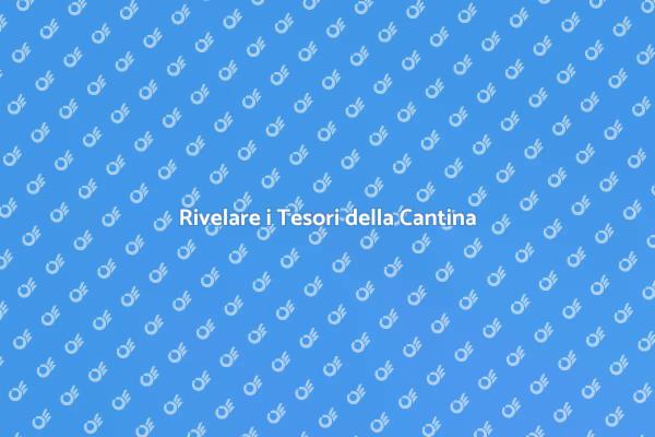 Organizzare il Trasloco dalla Cantina