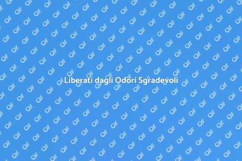 Rimozione degli Odori: Guida Pratica
