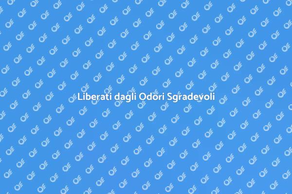 Strategie Efficaci per Rimuovere Odori