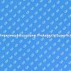 Impermeabilizzazione per Superfici Durature