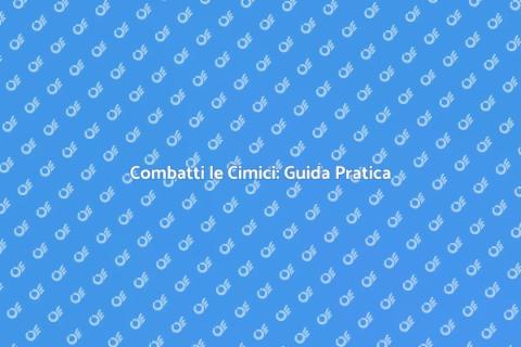 Disinfestare Cimici: Soluzioni Efficaci
