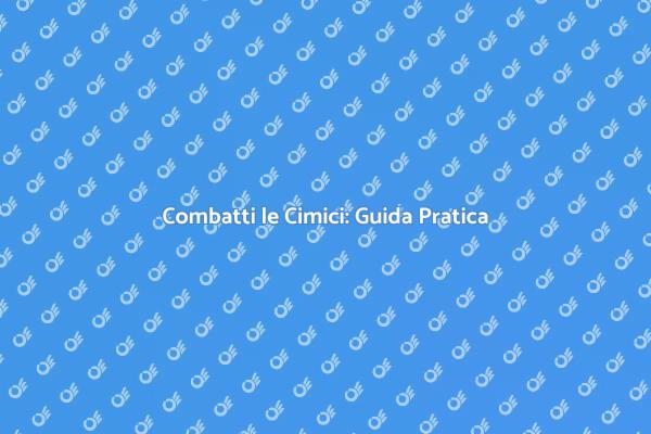 Disinfestazione Cimici: Come Fare?