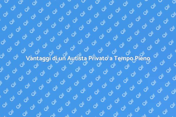 La Libertà di Assumere un Autista Privato