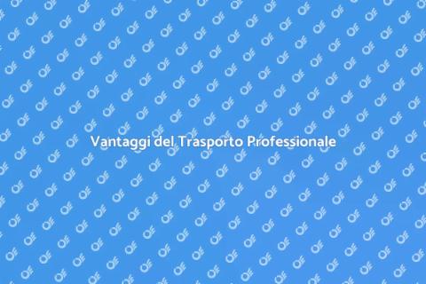 Trasporto Specializzato: Vantaggi Chiave