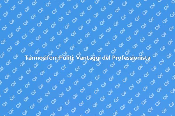 Perché Scegliere Esperti per i Termosifoni