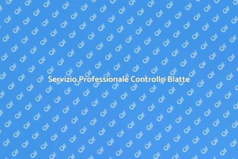 Controllo Blatte: Servizio Efficace