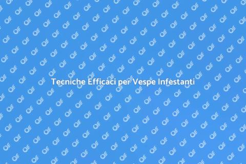 Controllo Infestanti di Vespe Efficace