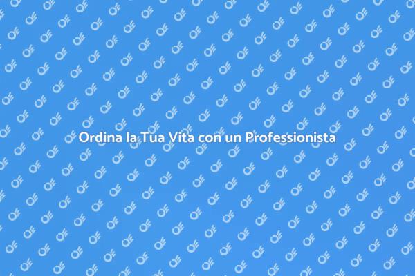L'Arte di Organizzare con un Professionista