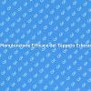 Manutenzione del Tappeto Erboso: Consigli Utili
