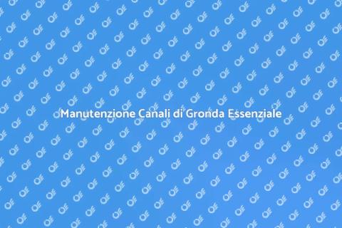 Controllo Canali di Gronda Casa