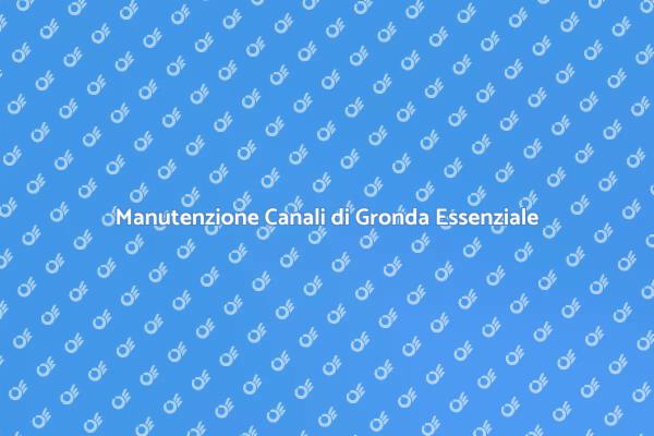 Perché Controllare i Canali di Gronda?
