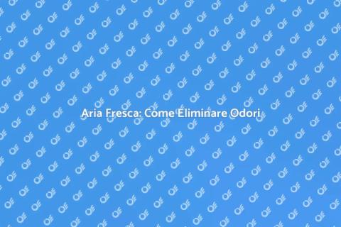 Eliminare Odori Sgradevoli in Casa