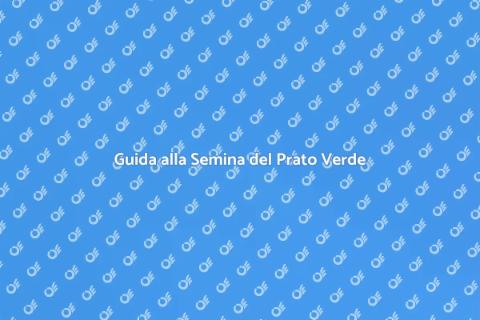 Semina del Prato Sostenibile