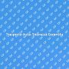 Sicurezza nel Trasporto dell'Auto